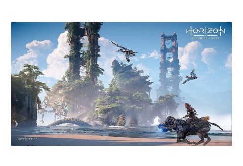 PS5 horizon forbidden west