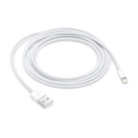 Cavo APPLE da Lightning a USB (1 m)