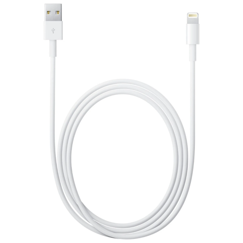 Cavo APPLE da Lightning a USB (1 m)