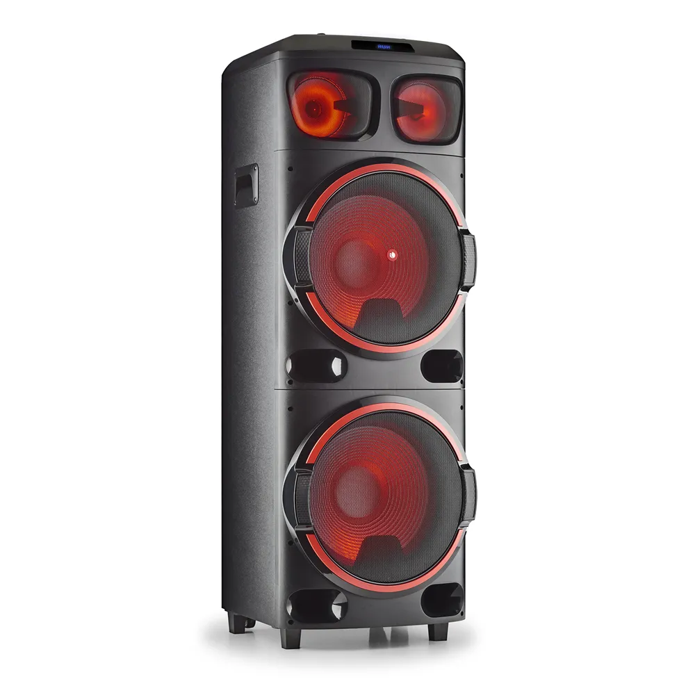 Cassa acustica NGS speaker Wild Dub 3 dj party 1200w